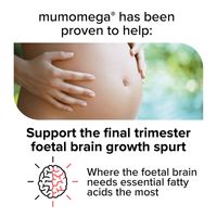 Flordis Equazen Mumomega Pregnancy Capsules